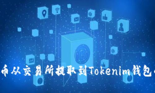 如何将FIL币从交易所提取到Tokenim钱包的详细指南