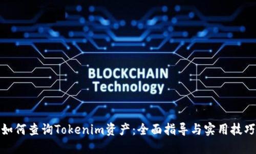 如何查询Tokenim资产：全面指导与实用技巧