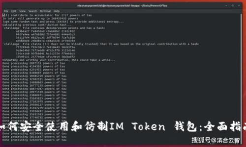 如何安全使用和仿制IM Token 钱包：全面指南