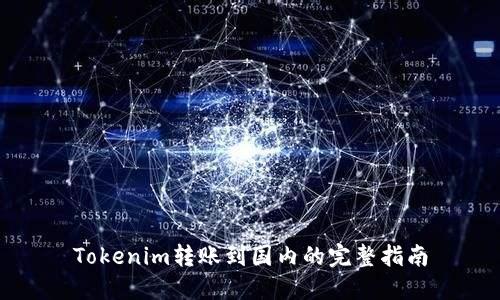 Tokenim转账到国内的完整指南