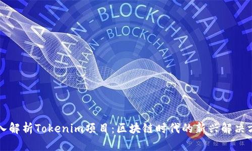 深入解析Tokenim项目：区块链时代的新兴解决方案