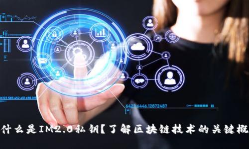 **什么是IM2.0私钥？了解区块链技术的关键概念