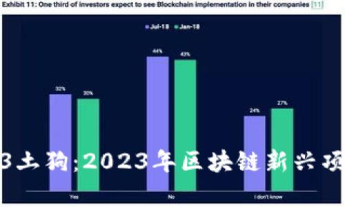 标题: Web3土狗：2023年区块链新兴项目全面解析