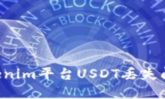 如何解决Tokenim平台USDT丢失