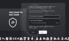 深入解析XEM数字货币：未