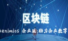 全面解析 Tokenimios 企业版