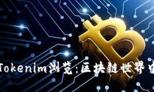 深入了解Tokenim浏览：区块链世界中的新视野