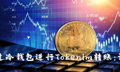 如何通过冷钱包进行Tokenim转账：详细指南