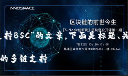 为了帮助您创建一篇关于“Tokenim是否支持BSC”的文章，下面是标题、关键词、内容大纲以及相关问题的详细框架。

Tokenim是否支持BSC？一文了解Tokenim的多链支持