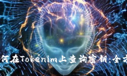 ## 如何在Tokenim上查询密钥：全方位指南