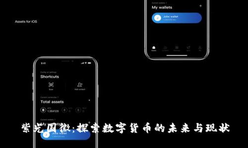 紫光国徽：探索数字货币的未来与现状