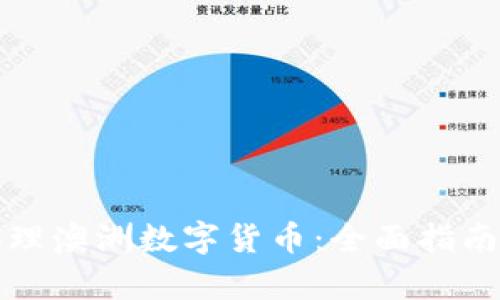 如何轻松办理澳洲数字货币：全面指南与流程解析