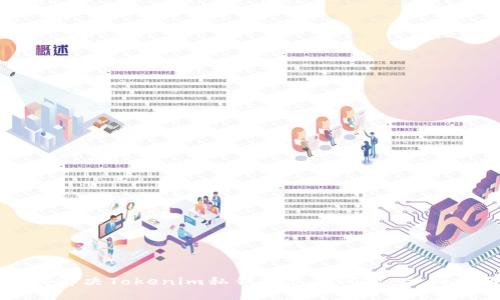 如何解决Tokenim私钥遗忘的问题：全面指南