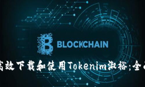 如何高效下载和使用Tokenim淑裕：全面指南