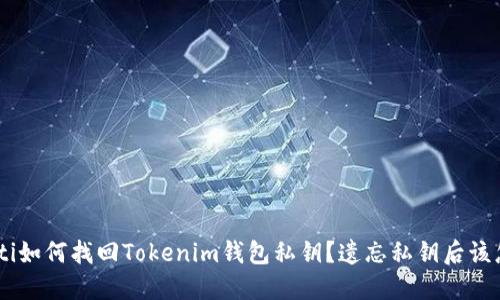 biasoti如何找回Tokenim钱包私钥？遗忘私钥后该怎么办