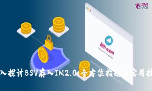 深入探讨BSV存入IM2.0：全方位指南与实用技巧