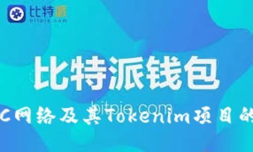 深入探讨BSC网络及其Tokenim项目的潜力与机遇