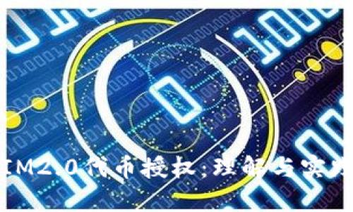 IM2.0代币授权：理解与实践