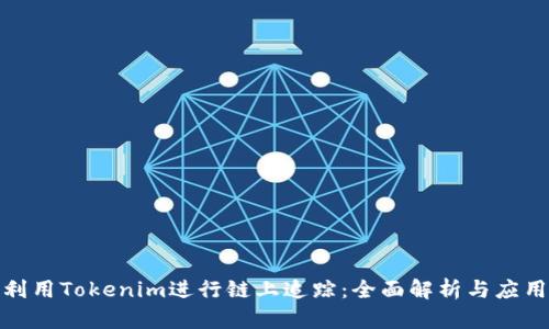 如何利用Tokenim进行链上追踪：全面解析与应用示例