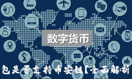   
imToken钱包是否支持币安链？全面解析与使用指南