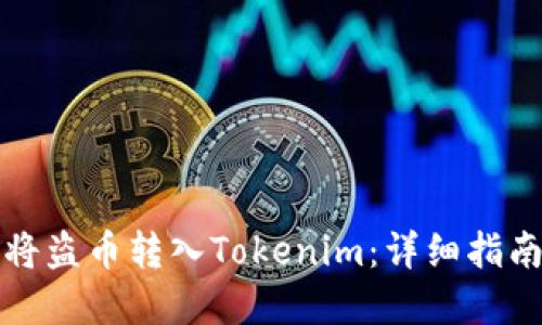 如何安全地将盗币转入Tokenim：详细指南与风险防范