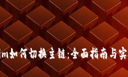 Tokenim如何切换主链：全面指南与实用技巧