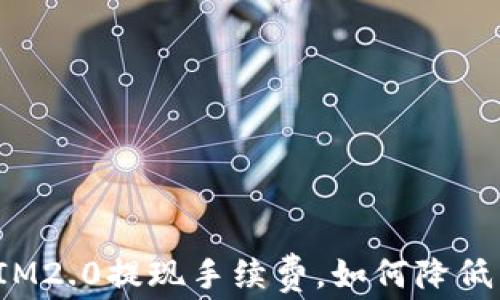 
深入解析IM2.0提现手续费，如何降低用户成本？