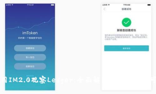 ### 使用IM2.0观察Ledger：全面解析区块链数据可视化工具