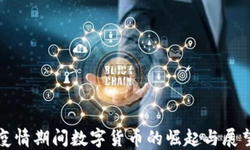 
疫情期间数字货币的崛起与展望