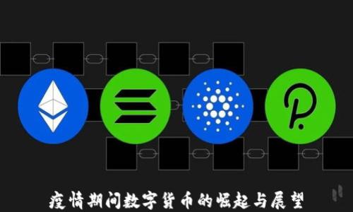 
疫情期间数字货币的崛起与展望