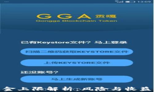 
数字货币基金上限解析：风险与收益的平衡之道
