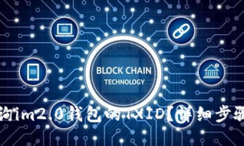 如何查询im2.0钱包的TXID？详细步骤与技巧