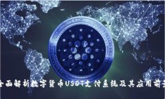 全面解析数字货币USDT支付